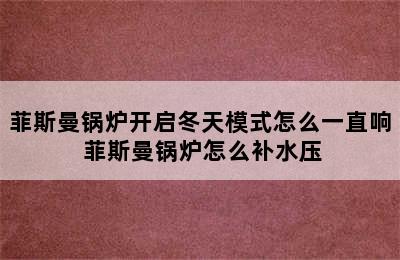 菲斯曼锅炉开启冬天模式怎么一直响 菲斯曼锅炉怎么补水压